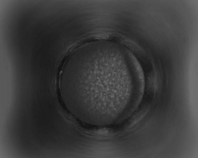 X0000099980600200806061525