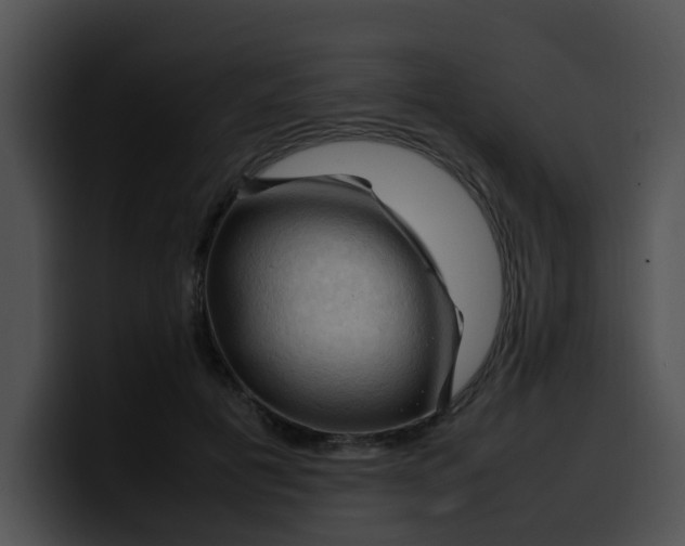 X0000099980601200806061525