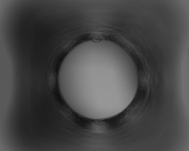 X0000099980603200806061525