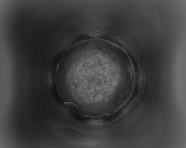 X0000099980606200806061525