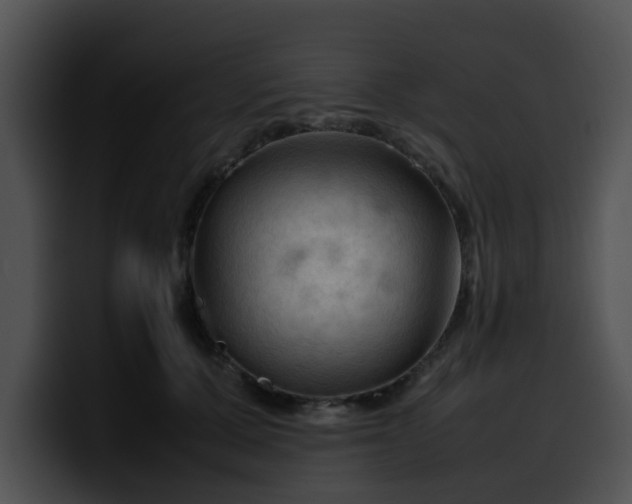 X0000099980607200806061525