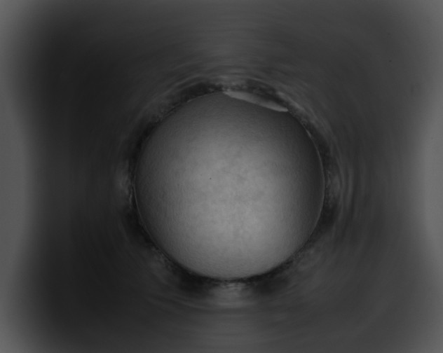 X0000099980609200806061525