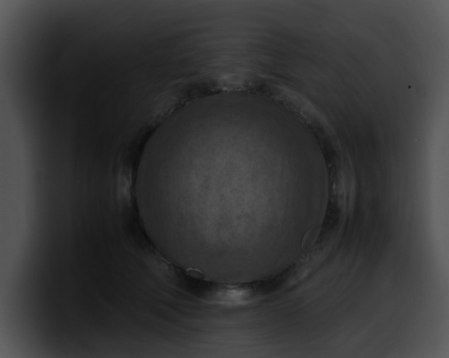 X0000099980610200806061525