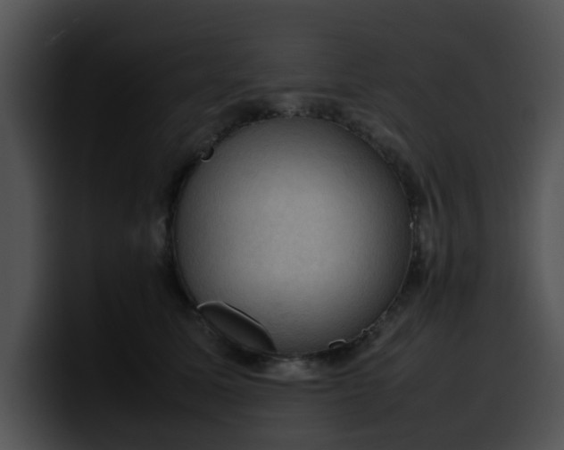 X0000099980611200806061525