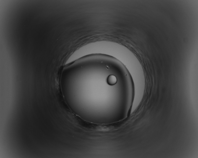 X0000099980613200806061525