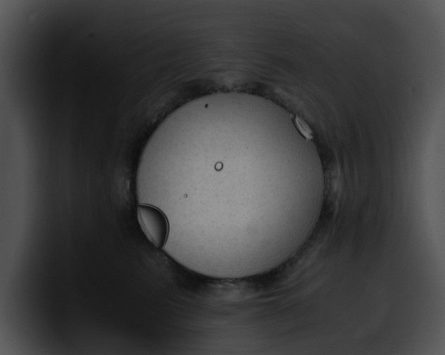 X0000099980615200806061525