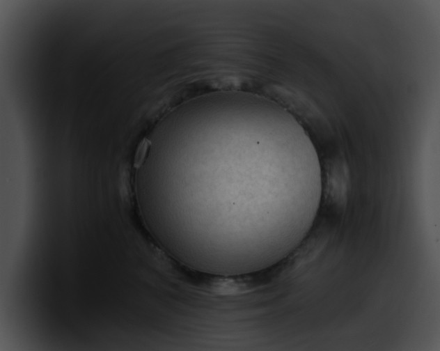 X0000099980616200806061525