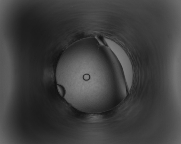 X0000099980617200806061525