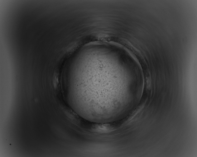 X0000099980618200806061525