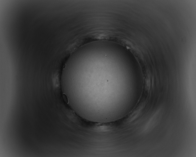 X0000099980620200806061525