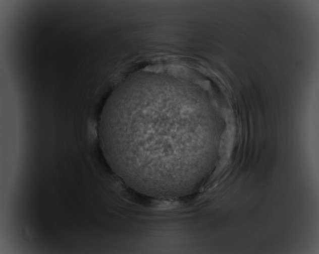 X0000099980621200806061525