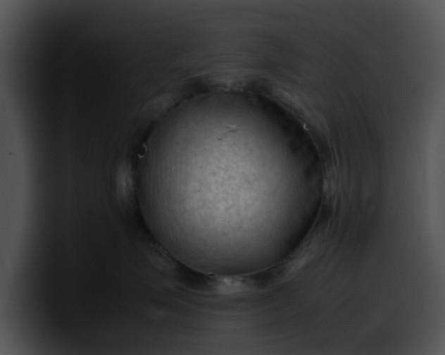 X0000099980623200806061525