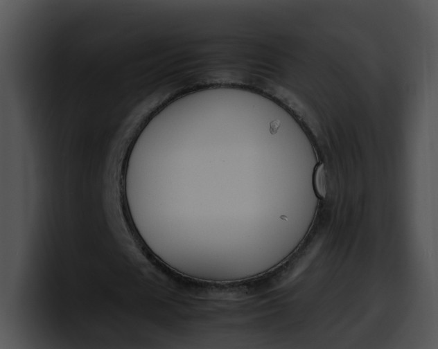 X0000099980625200806061524