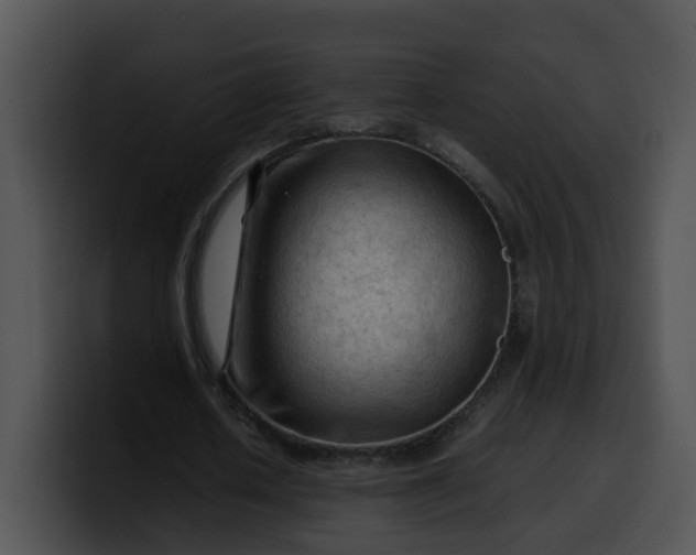 X0000099980626200806061524