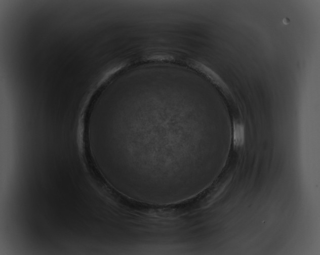 X0000099980627200806061524