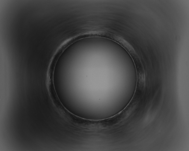 X0000099980628200806061524