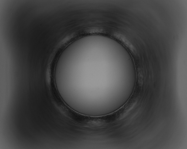 X0000099980631200806061524