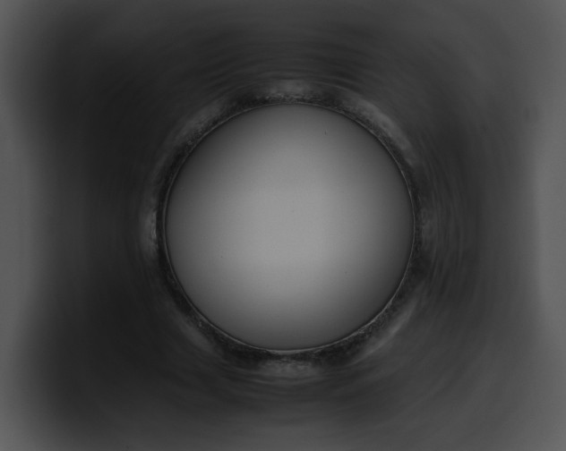 X0000099980633200806061524