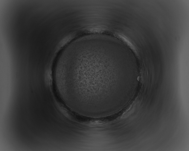 X0000099980634200806061524