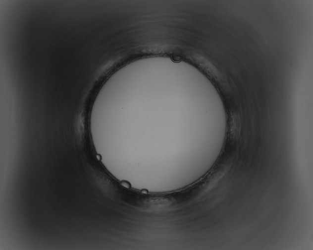 X0000099980636200806061524