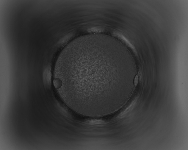 X0000099980637200806061524