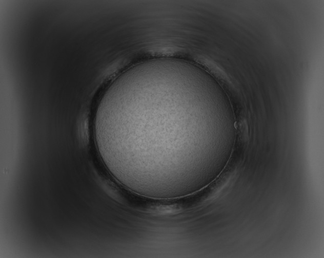 X0000099980638200806061524