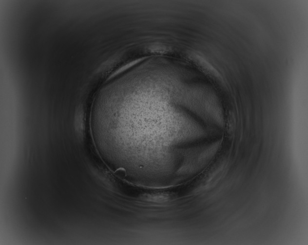 X0000099980639200806061524