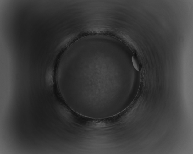 X0000099980640200806061524