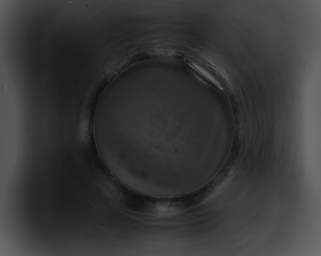 X0000099980641200806061524