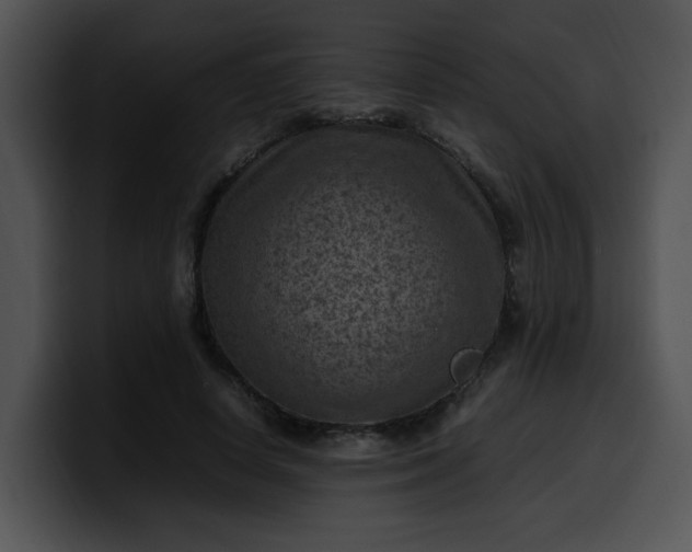 X0000099980642200806061524