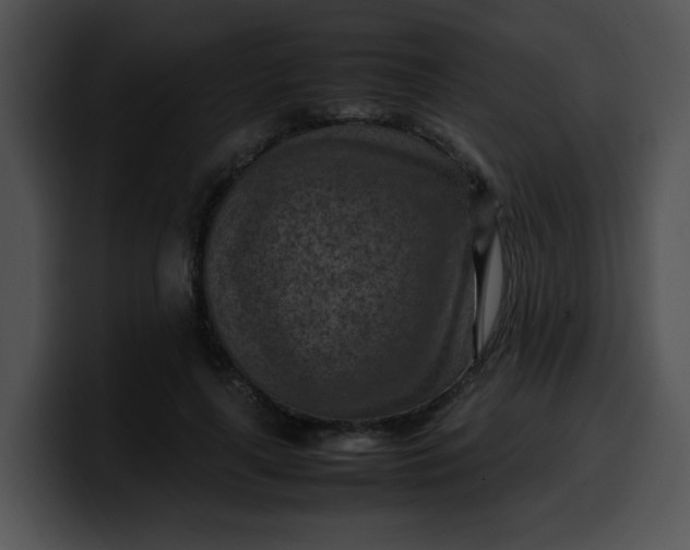 X0000099980643200806061524