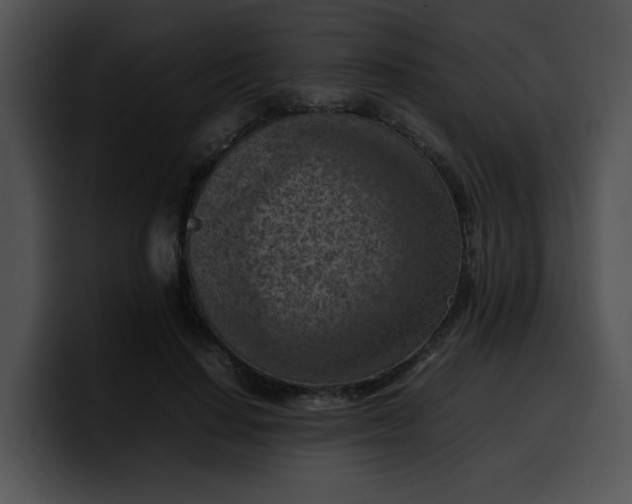 X0000099980644200806061524