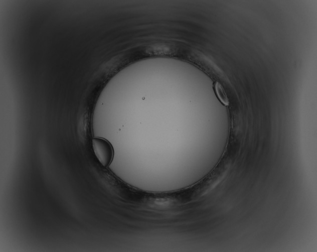 X0000099980645200806061524