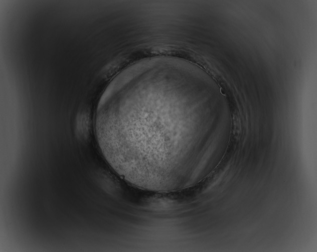 X0000099980648200806061524