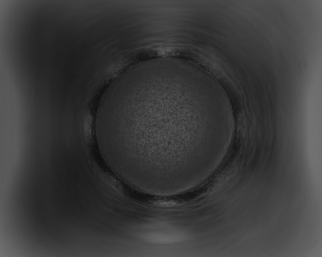 X0000099980650200806061524