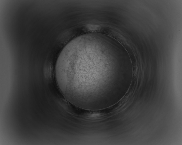 X0000099980651200806061524