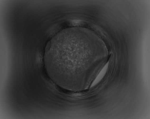 X0000099980653200806061524