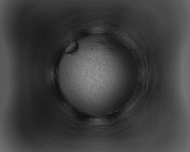 X0000099980655200806061524