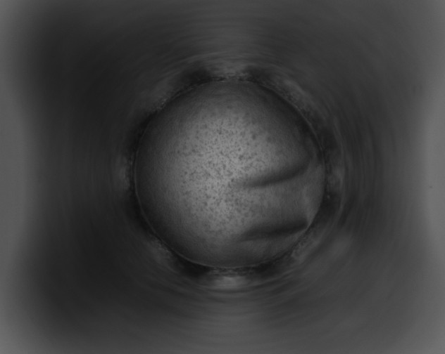 X0000099980658200806061524