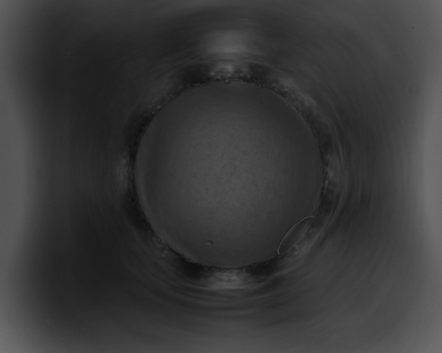 X0000099980659200806061524