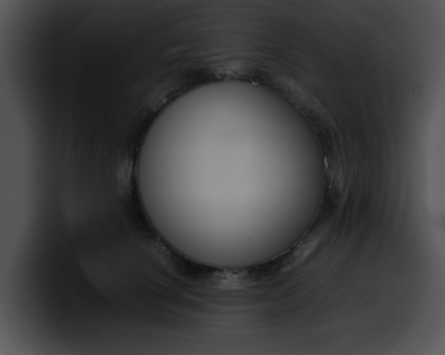 X0000099980660200806061524