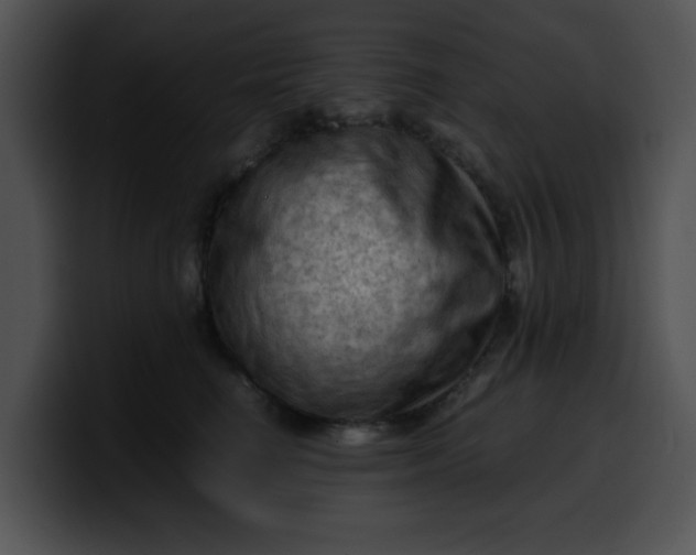 X0000099980662200806061524