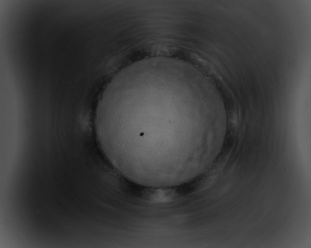 X0000099980663200806061524