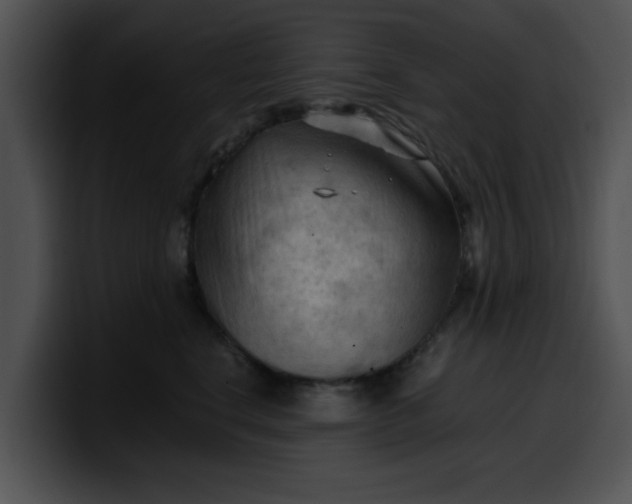 X0000099980664200806061524