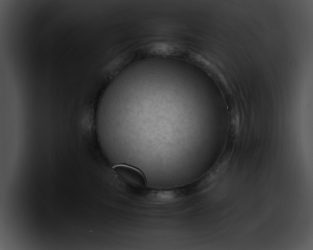 X0000099980665200806061524