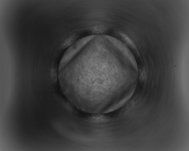 X0000099980666200806061524