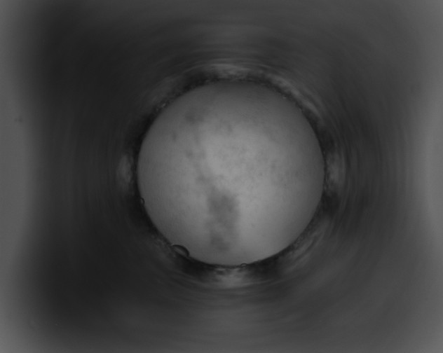 X0000099980667200806061524