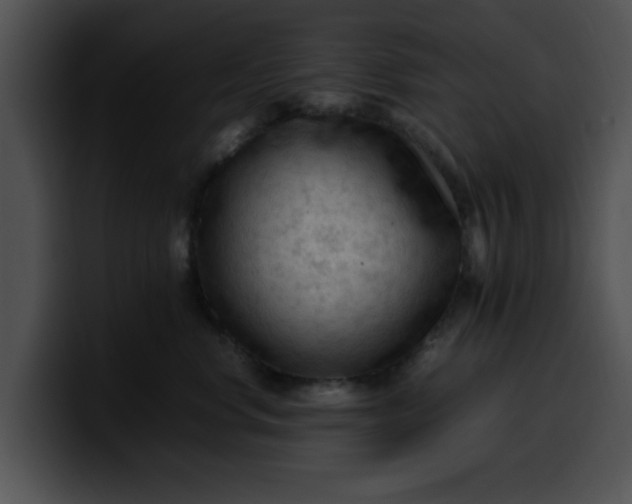 X0000099980668200806061525