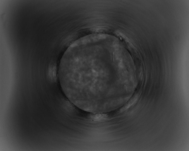 X0000099980670200806061525