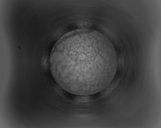 X0000099980671200806061525